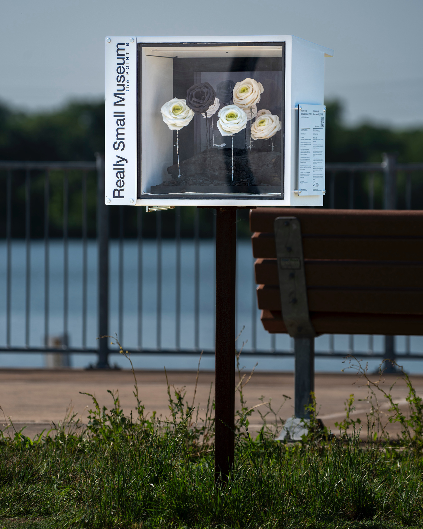 requiem merygodignacollet