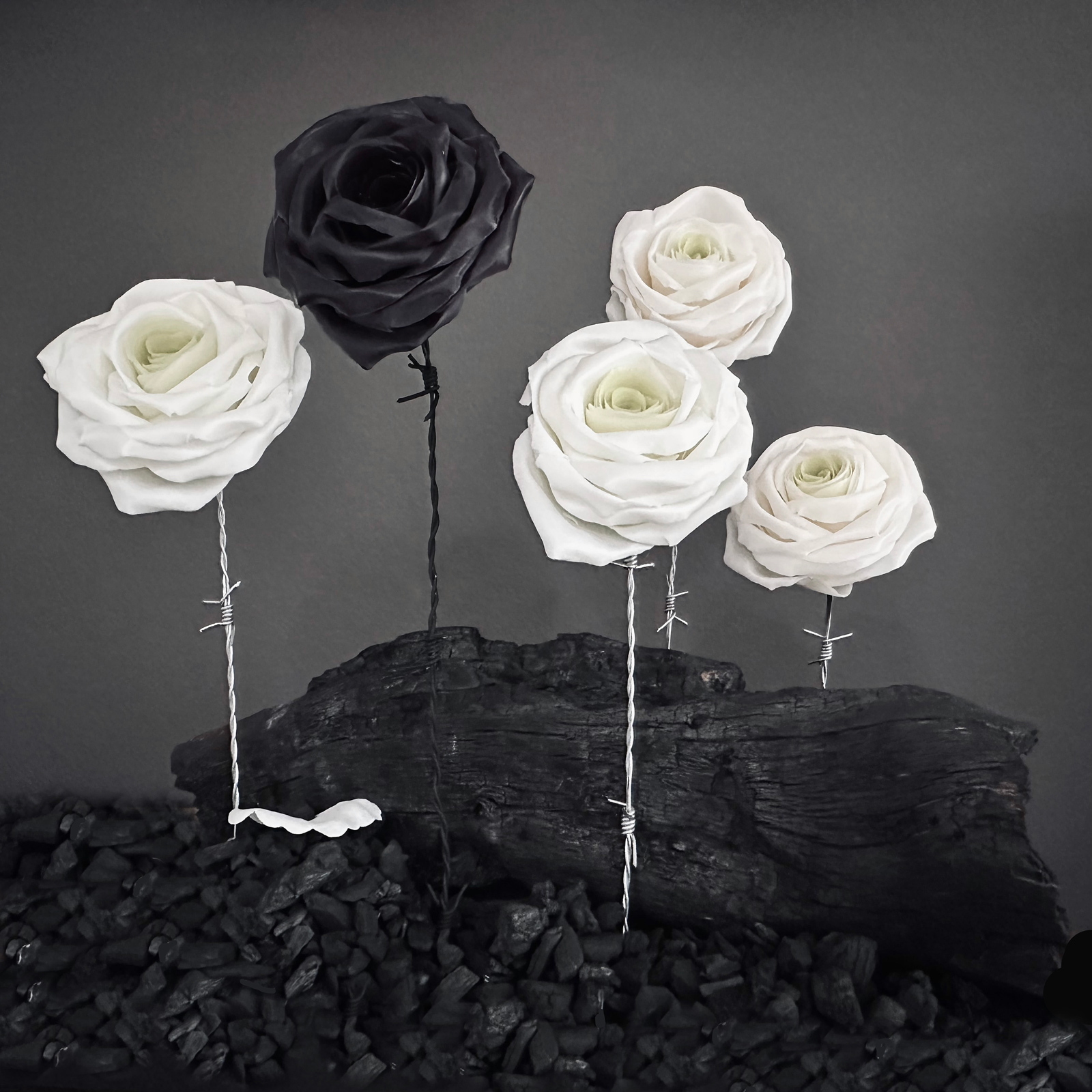 requiem merygodignacollet