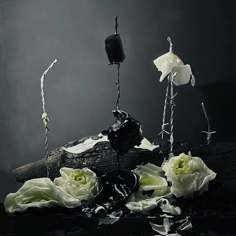 requiem merygodignacollet