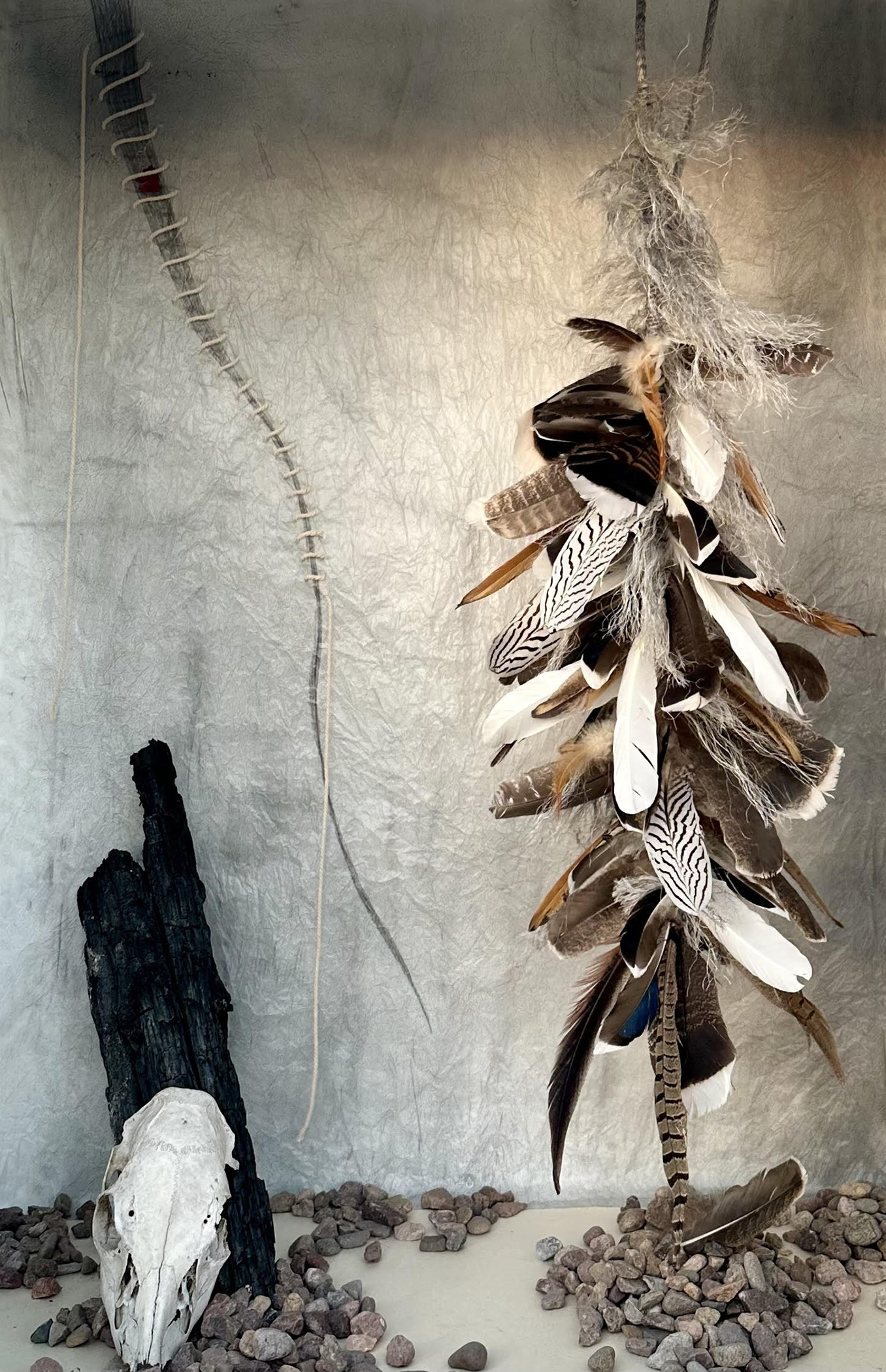 untitled 47 merygodignacollet